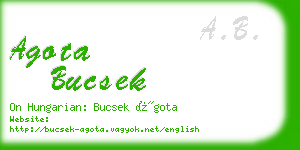 agota bucsek business card